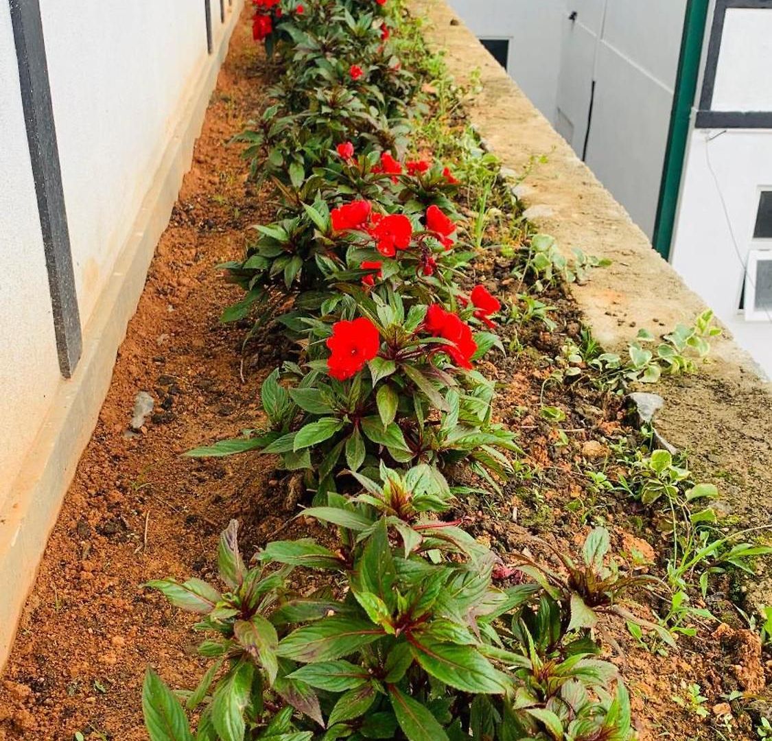 Lilys Nuwaraeliya Nuwara Eliya
