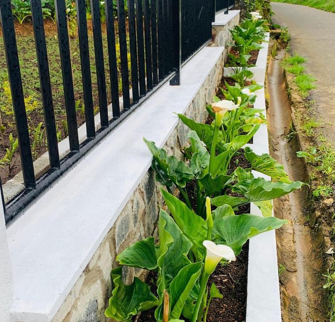 Lilys Nuwaraeliya Hotel Nuwara Eliya