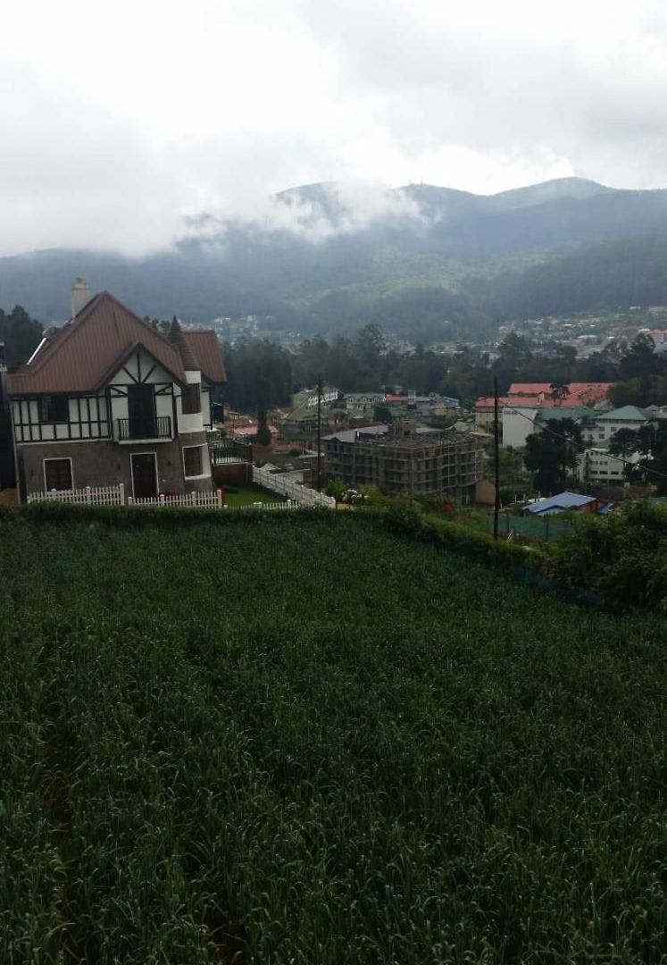 Hotel De Roshe