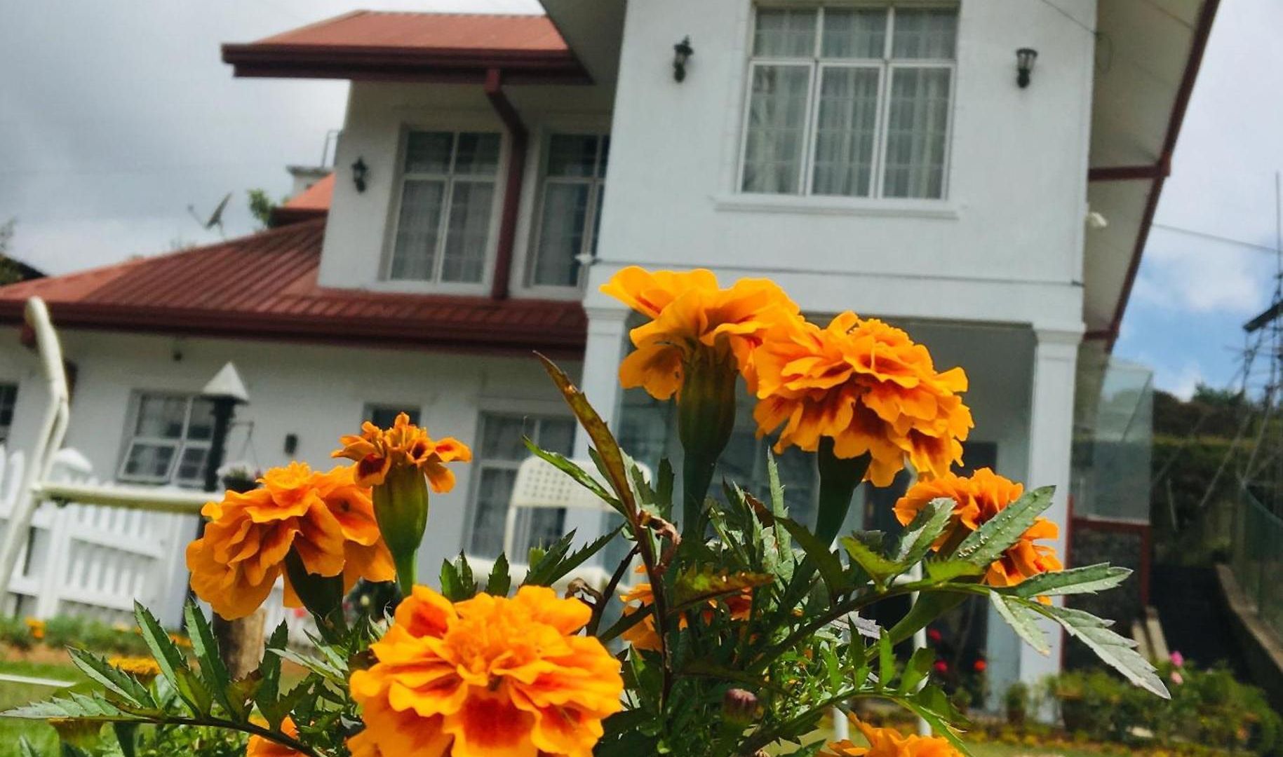 Thuring's * Nuwara Eliya
