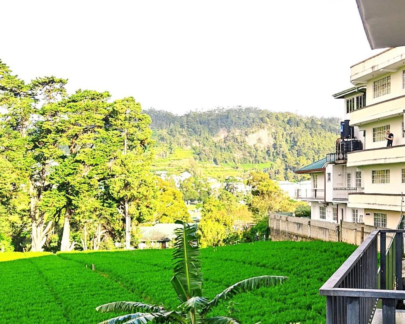 Nelma's Cosy * Nuwara Eliya