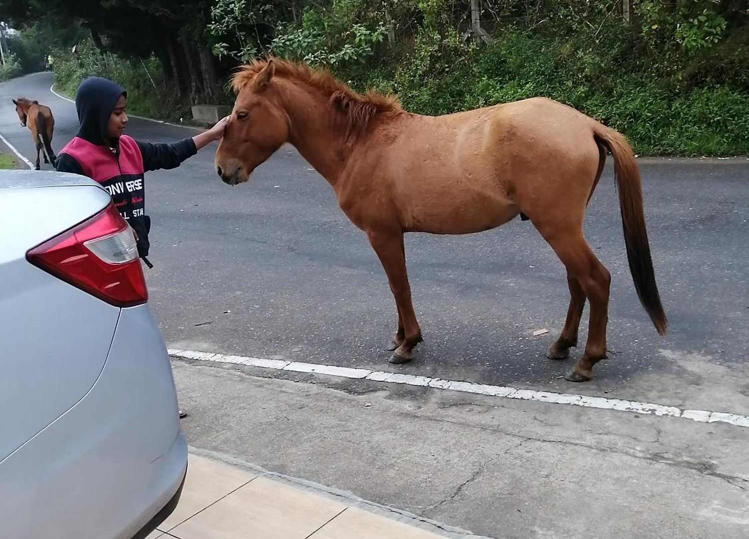 Roseberry Hotel Nuwara Eliya