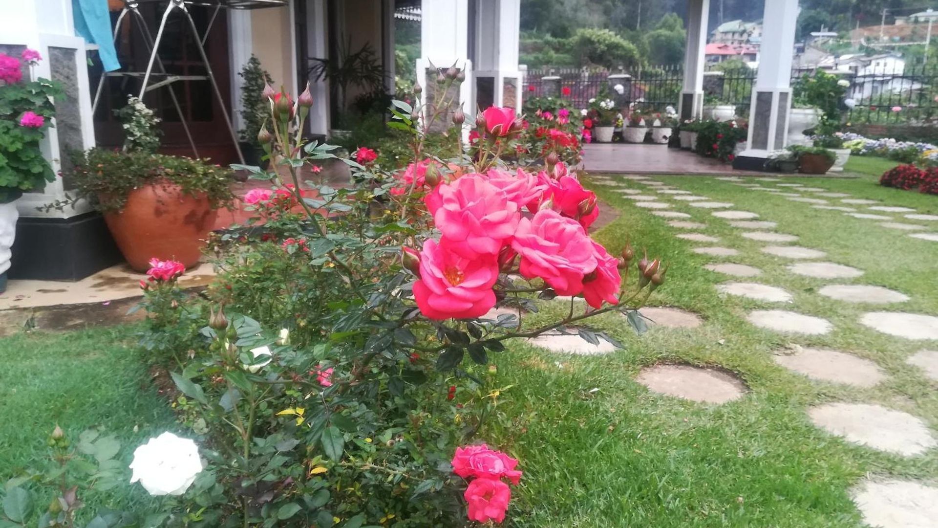 Homestay Royal Wattles Boutique