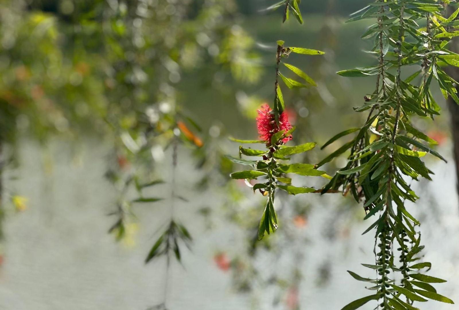 Lakeside By Clover Nuwara Eliya