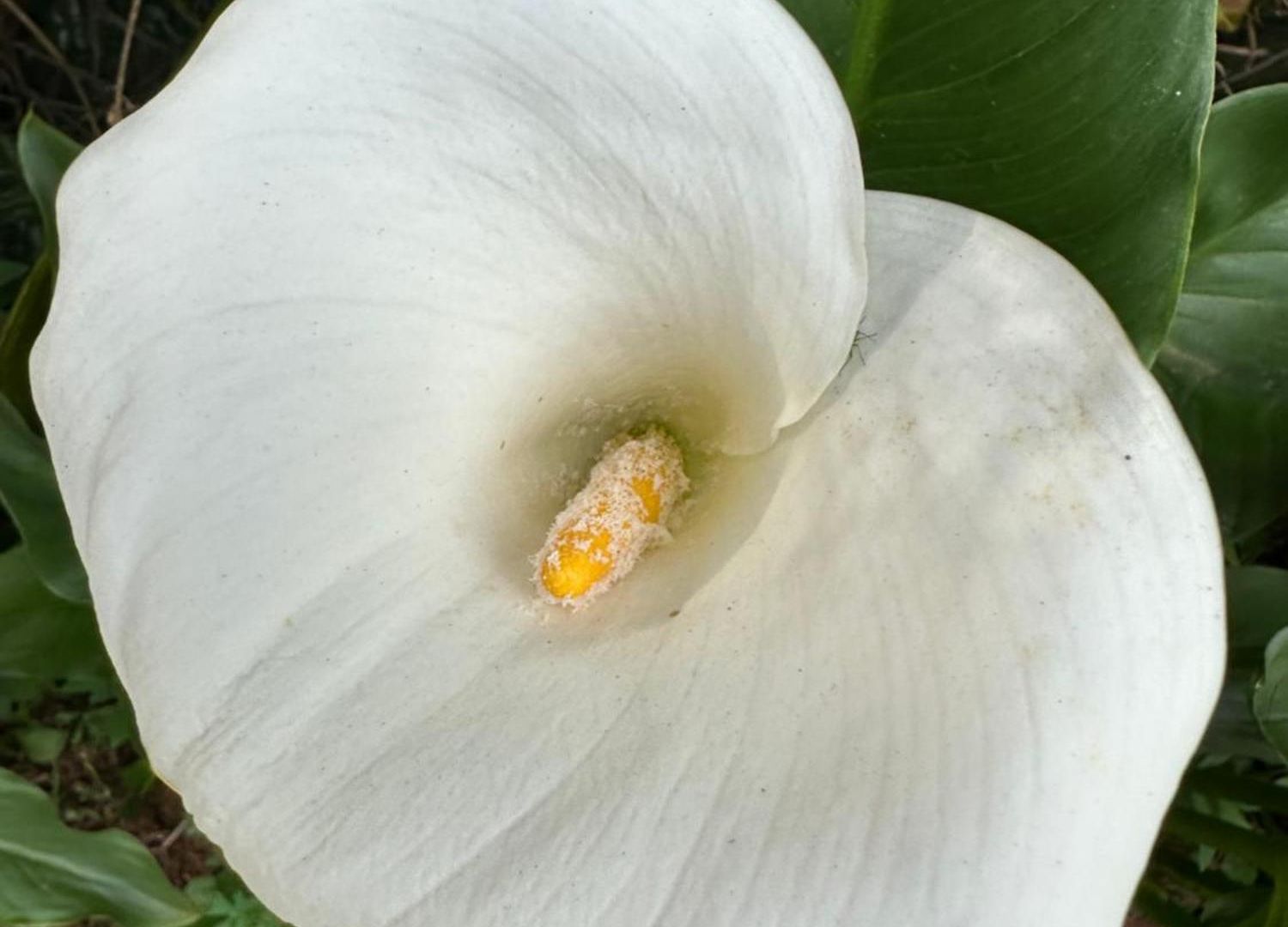 47 Nuwaraeliya Nuwara Eliya