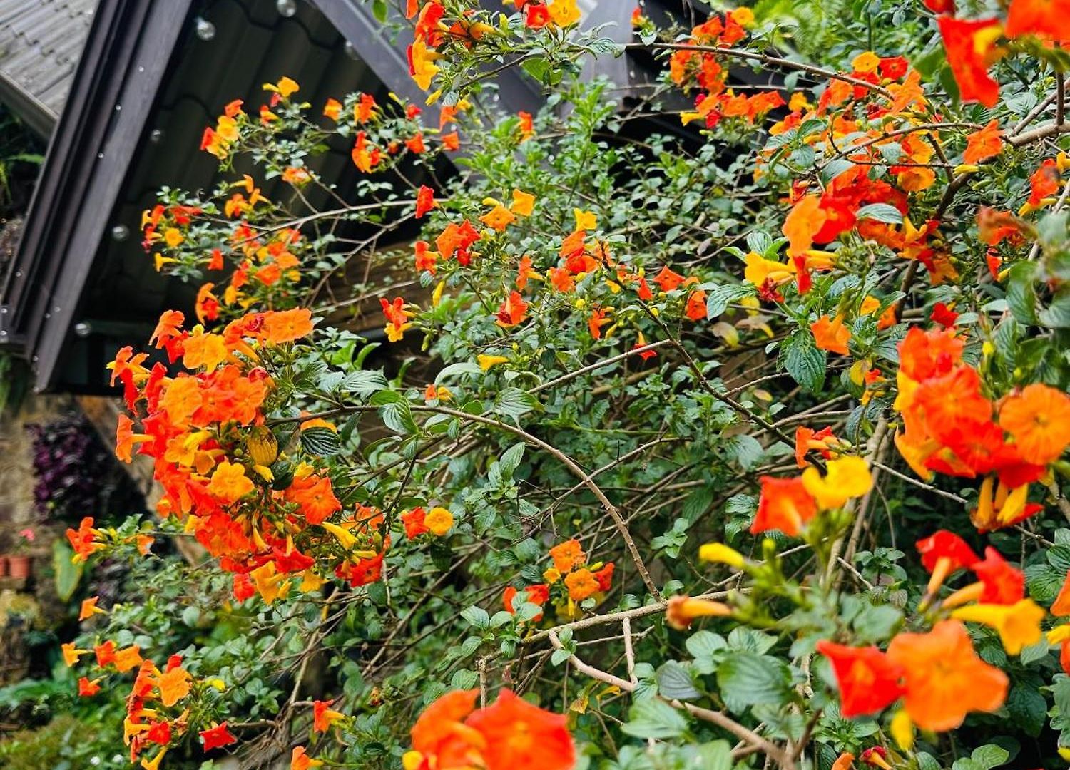 47 Nuwaraeliya Hotel