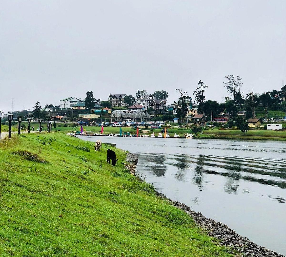 Royal Pearl Hills Hotel