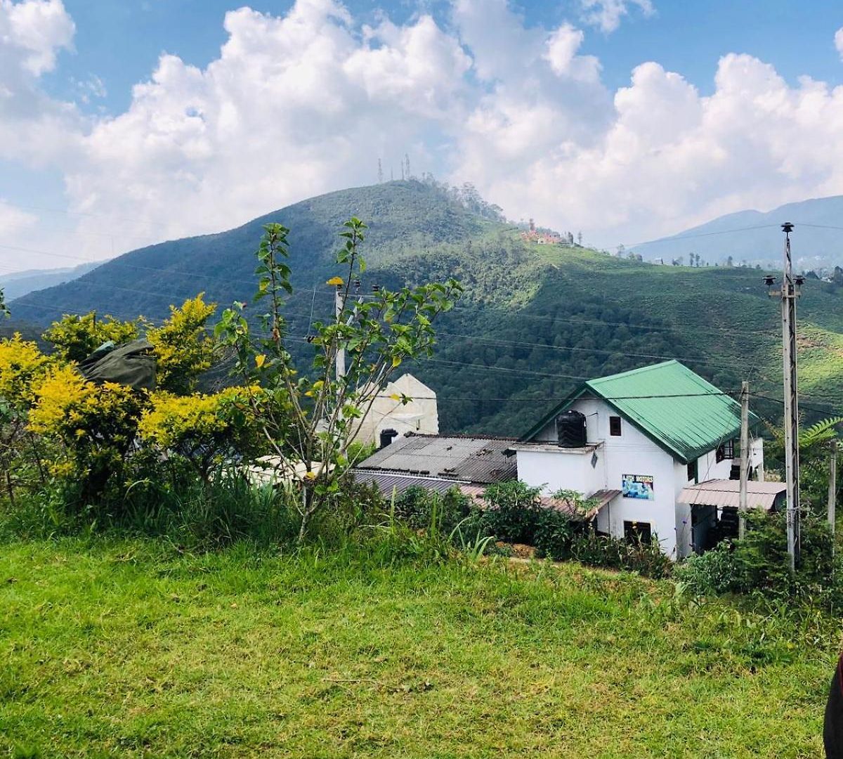 Mount View