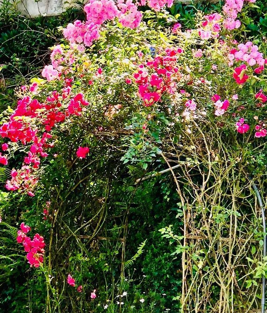 Medalin Harmony Holiday home Nuwara Eliya