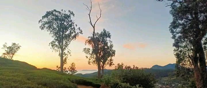 The Paulwood Homestay Nuwara Eliya