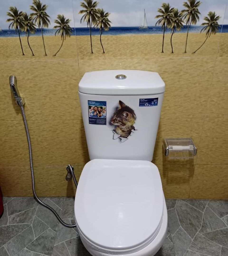 Aloka Guest house