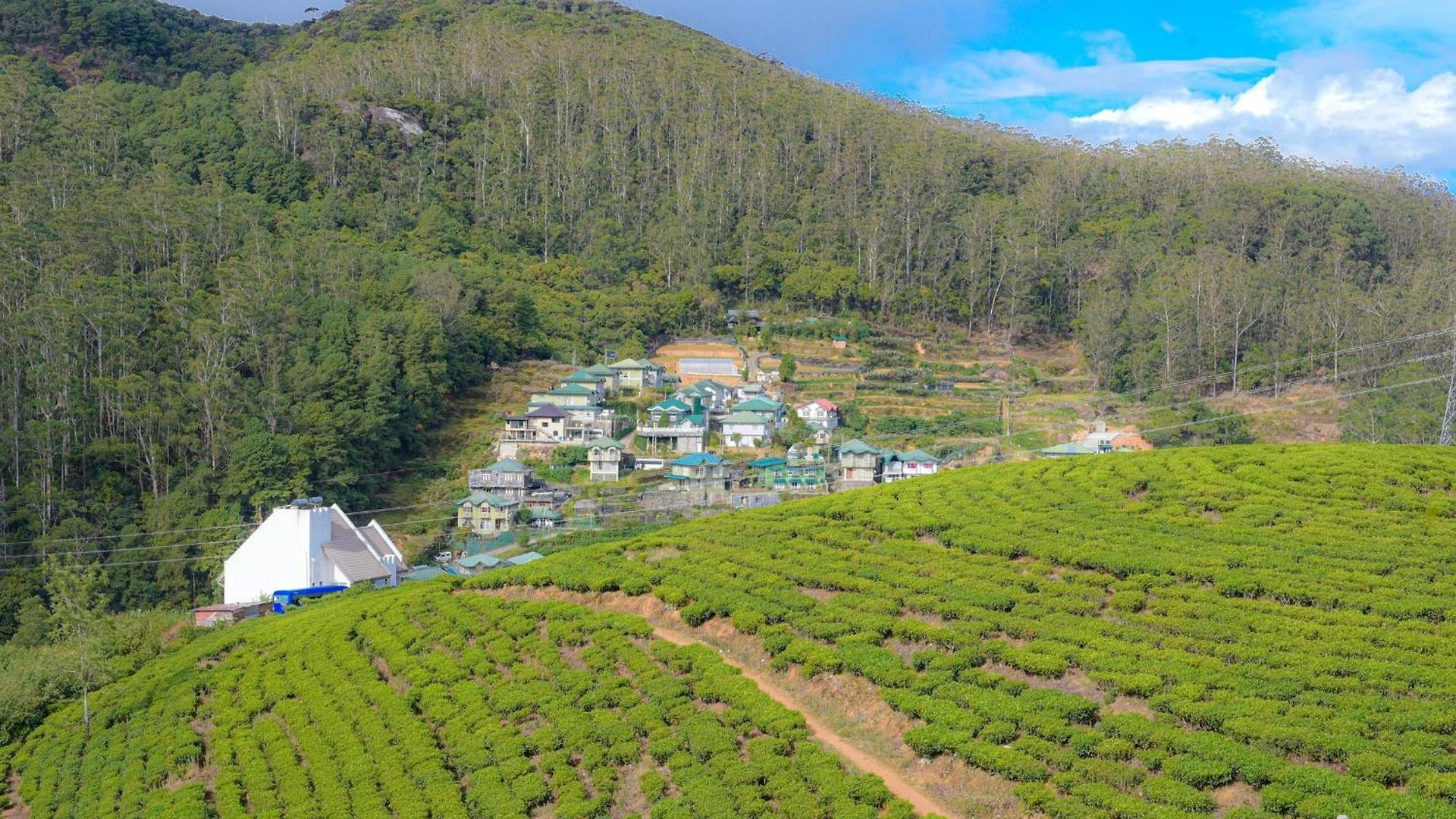 Ayona Misty Hills Lodge *