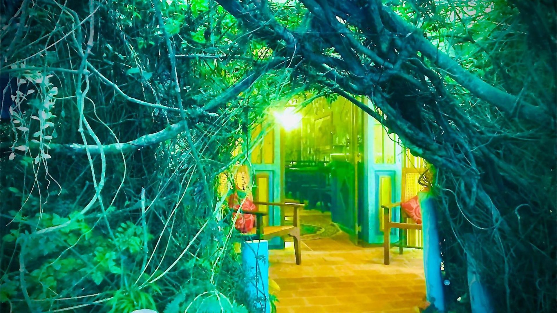 Guest house Serendipity Artistic By Heidis 3*