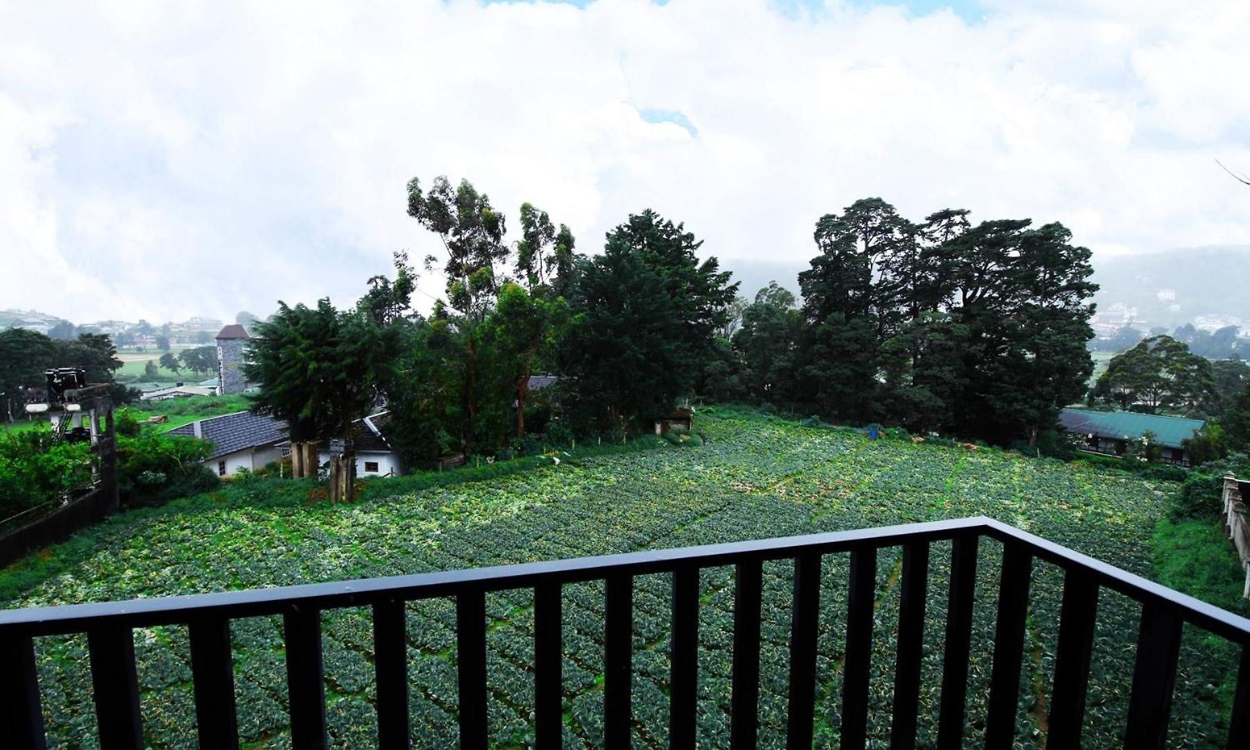 Apartment Nelma's Cosy Nuwara Eliya