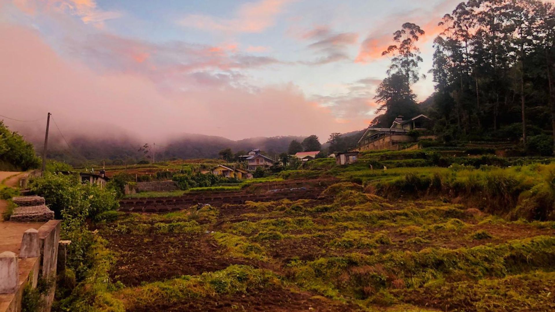 The Eliya