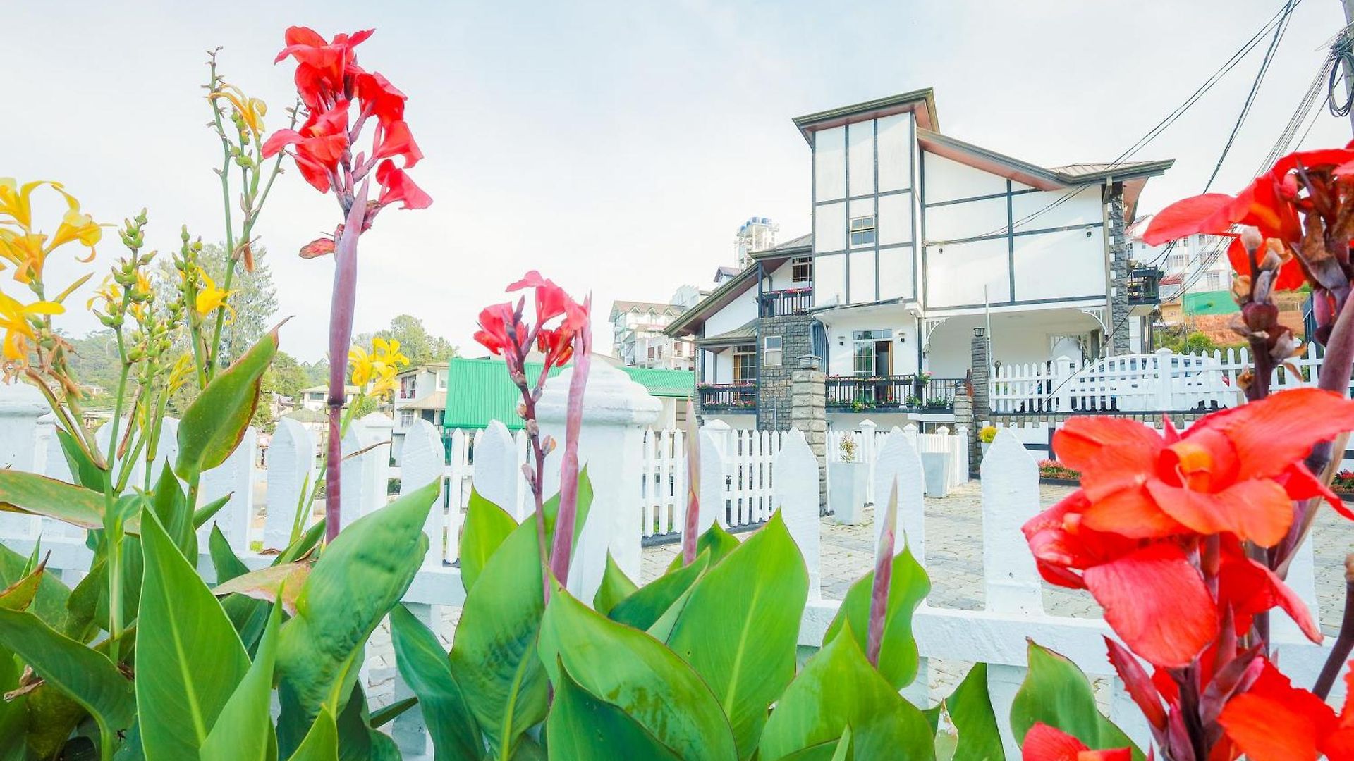 Homestay Clifton Manor Luxury Boutique Nuwara Eliya