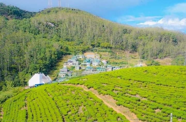 Guest house Aloka Nuwara Eliya