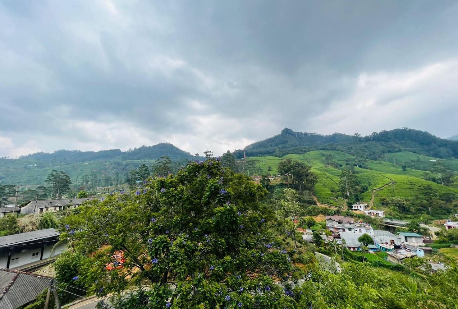 Dream Homestay Nuwara Eliya