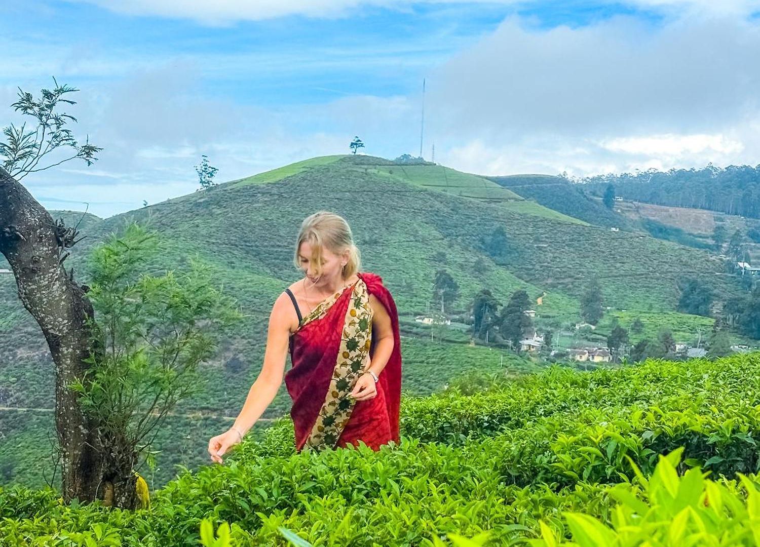 The Blackberry Nuwara Eliya