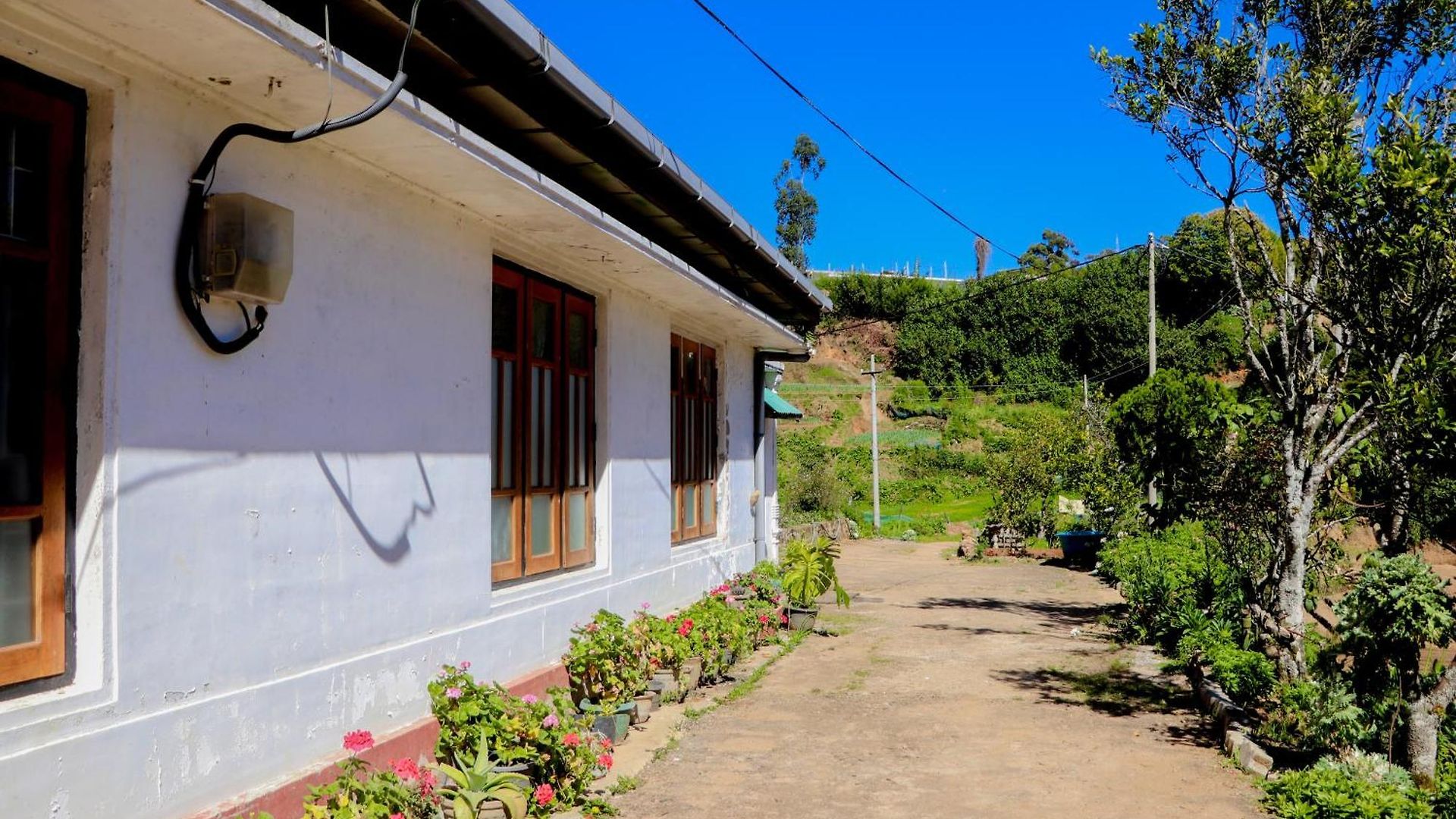 Homestay St Elmo