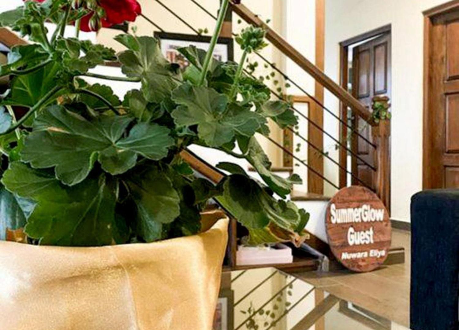 Guest house Summer Glow Guest - Nuwara Eliya