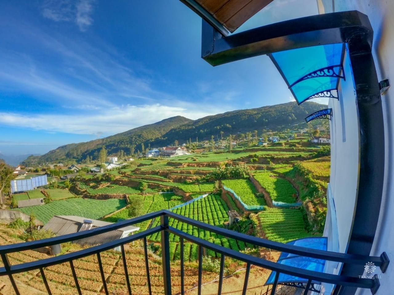 The Tranquill Guest house *