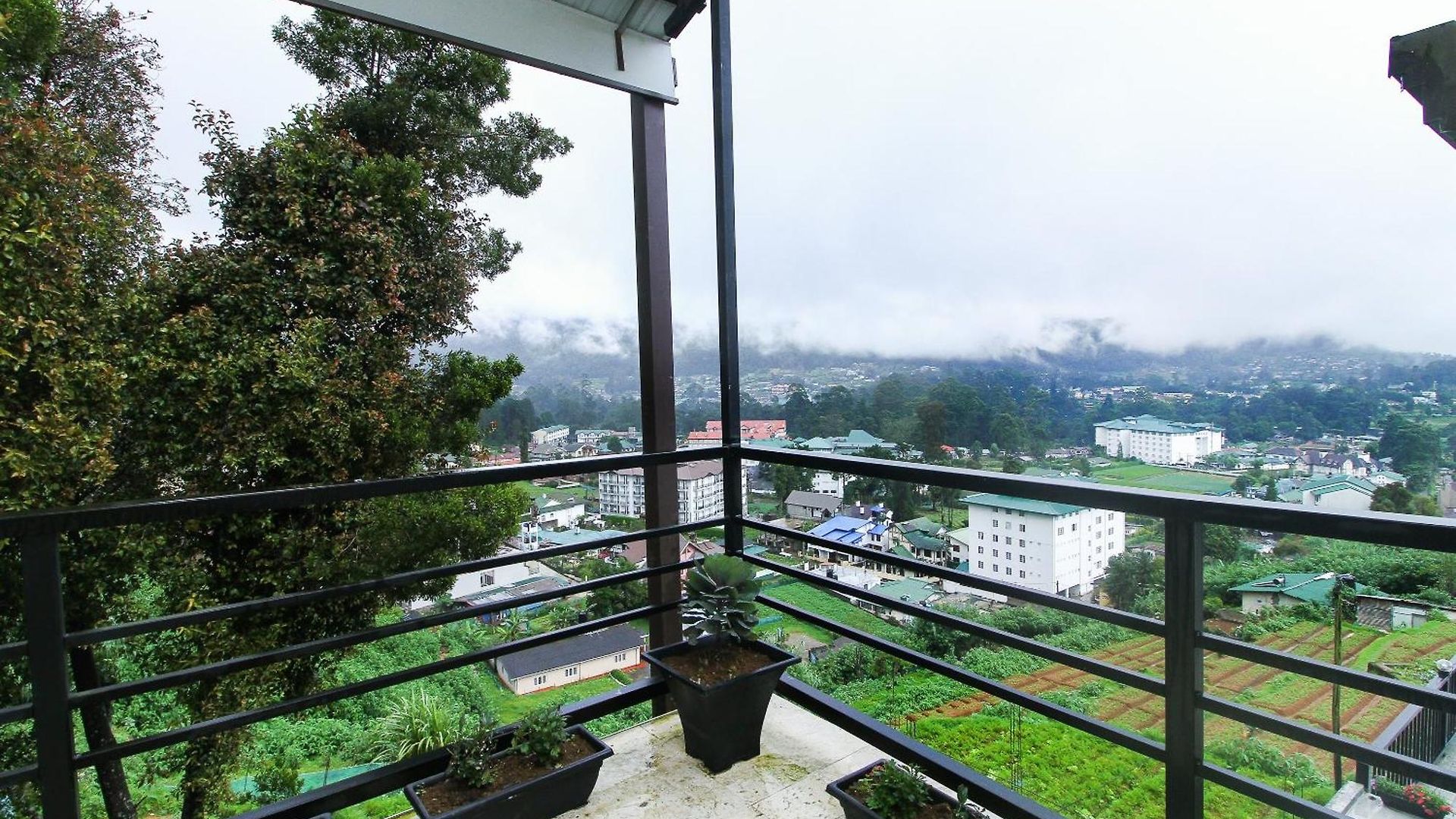 Delphin 3* Nuwara Eliya