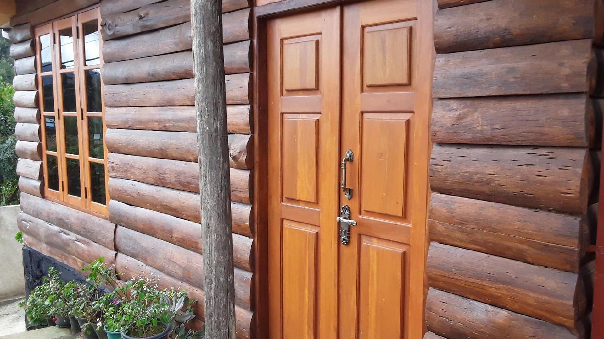 20/20 Wood