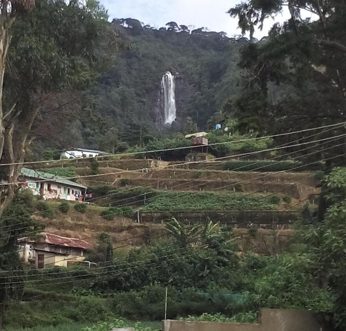 20/20 Wood Homestay Nuwara Eliya