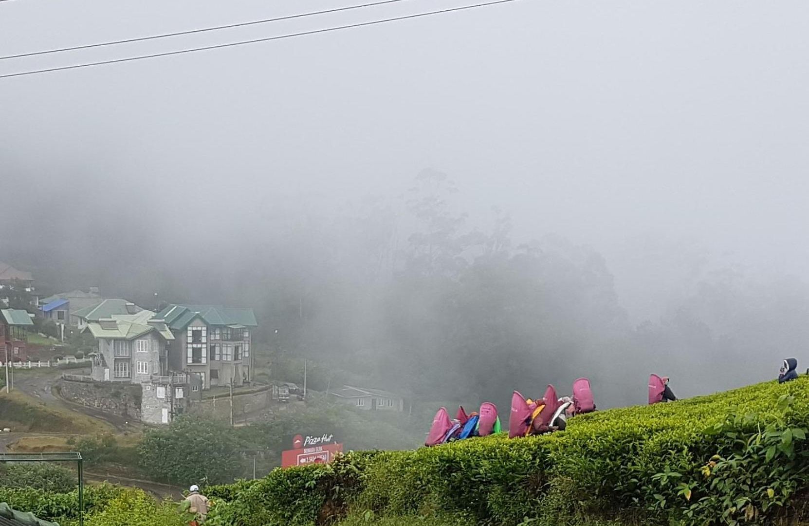 Wintry Hills-nuwara Eliya