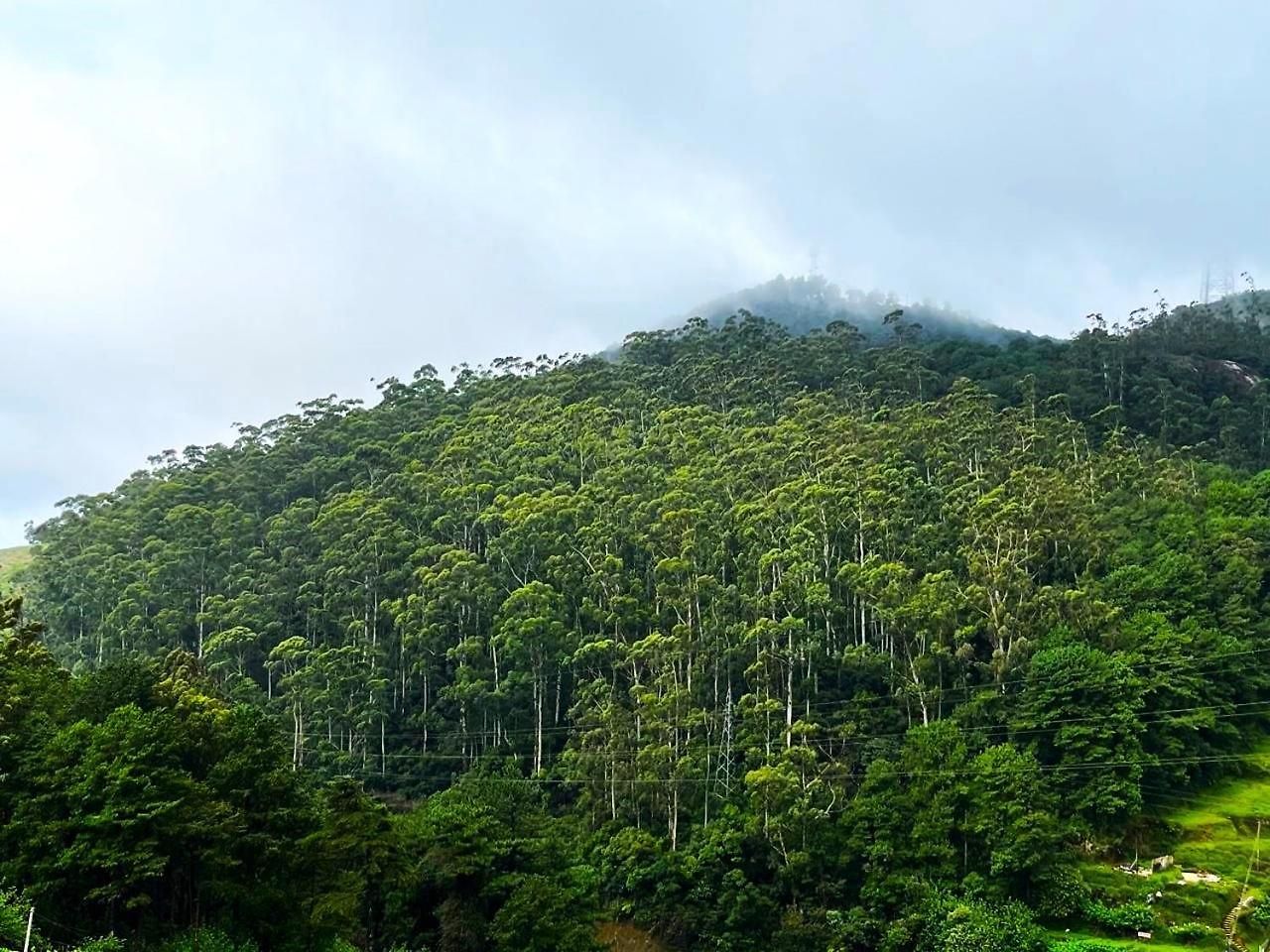 Apartment Wintry Hills-nuwara Eliya *