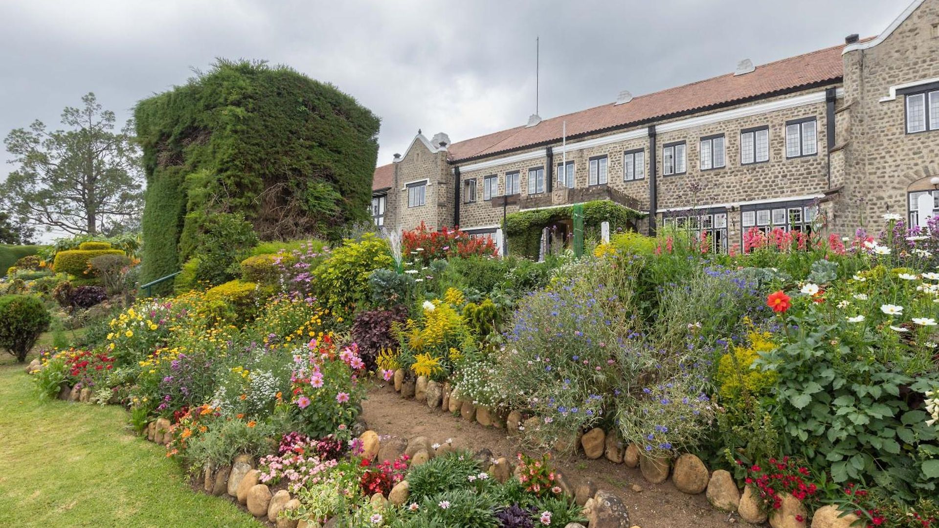 The Hill Club -