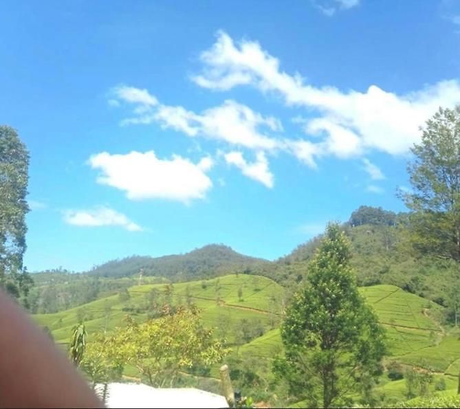 Nuwaraeliya Penthouse With Pool & Panaromic Views Nuwara Eliya
