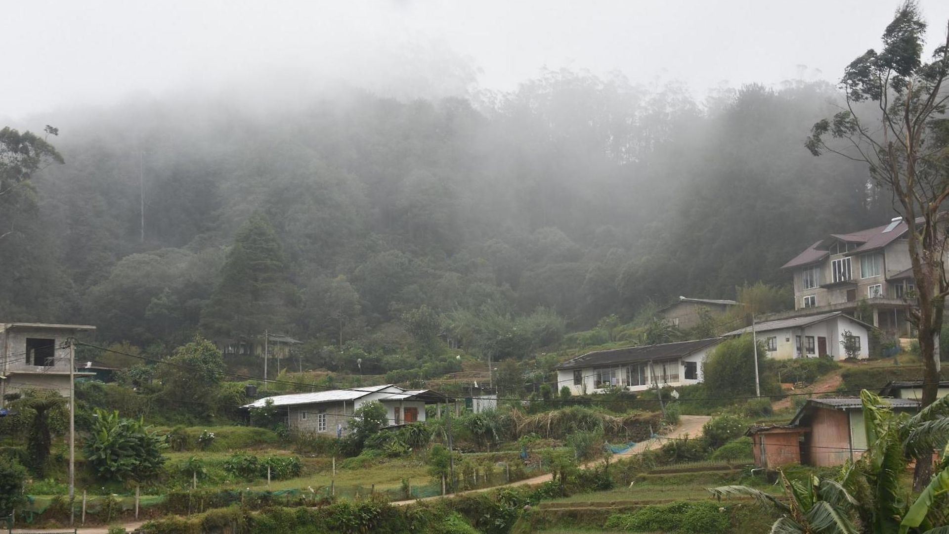 Mihidum Sihina Guest Guest house Nuwara Eliya