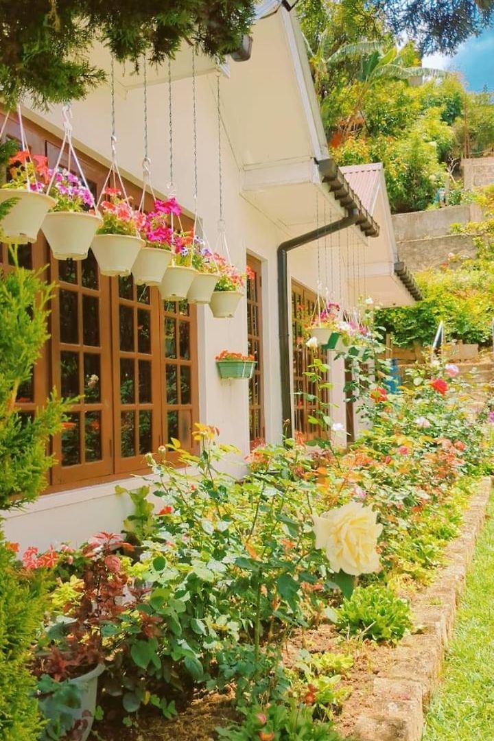 Silver Rose Holiday home Nuwara Eliya
