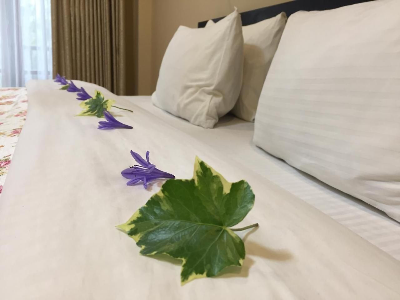 Hotel Trevene Colonial 2*