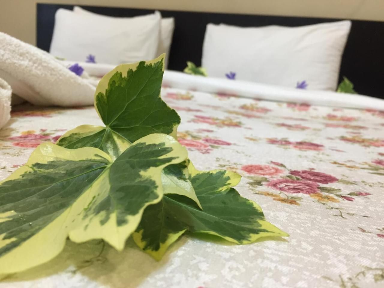 Trevene Colonial Hotel 2*