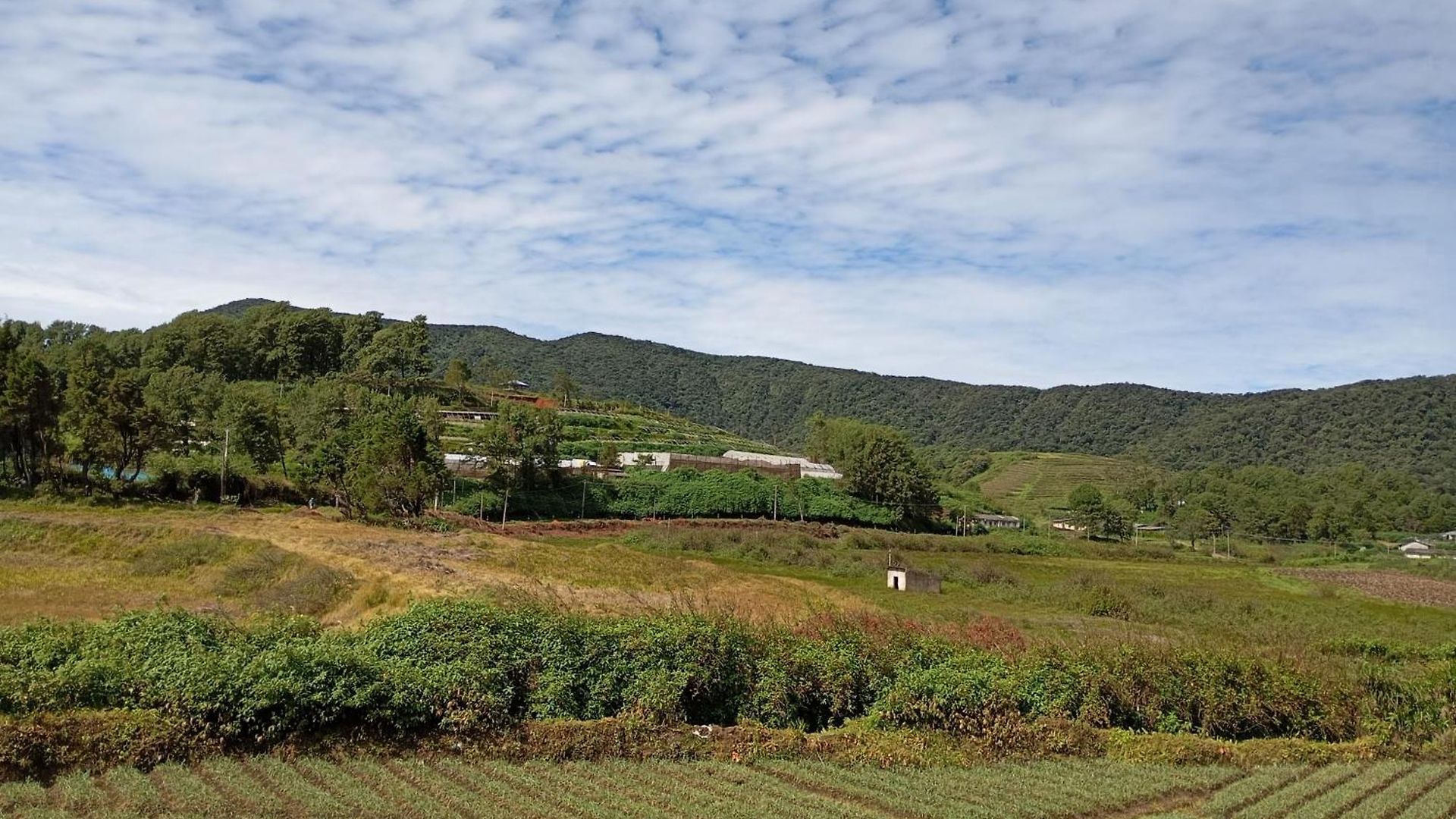 Guest house Mass &holiday Homes Nuwara Eliya