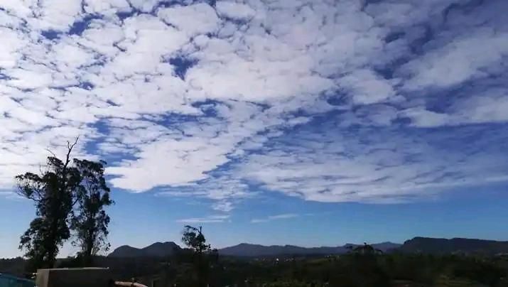 The Paulwood And Nuwara Eliya