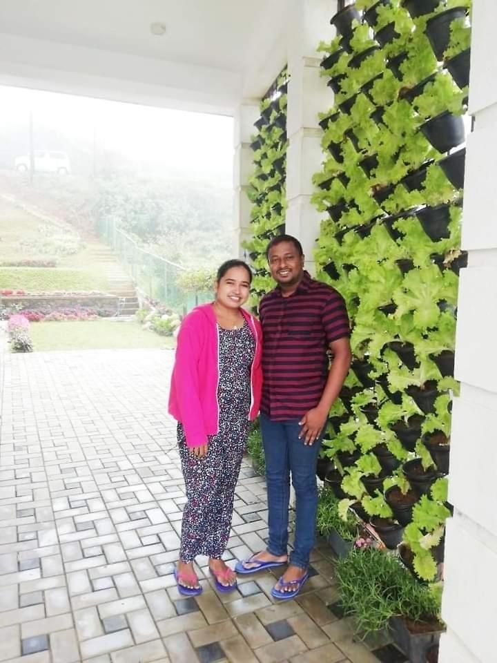 Pensive - Hotel Nuwara Eliya