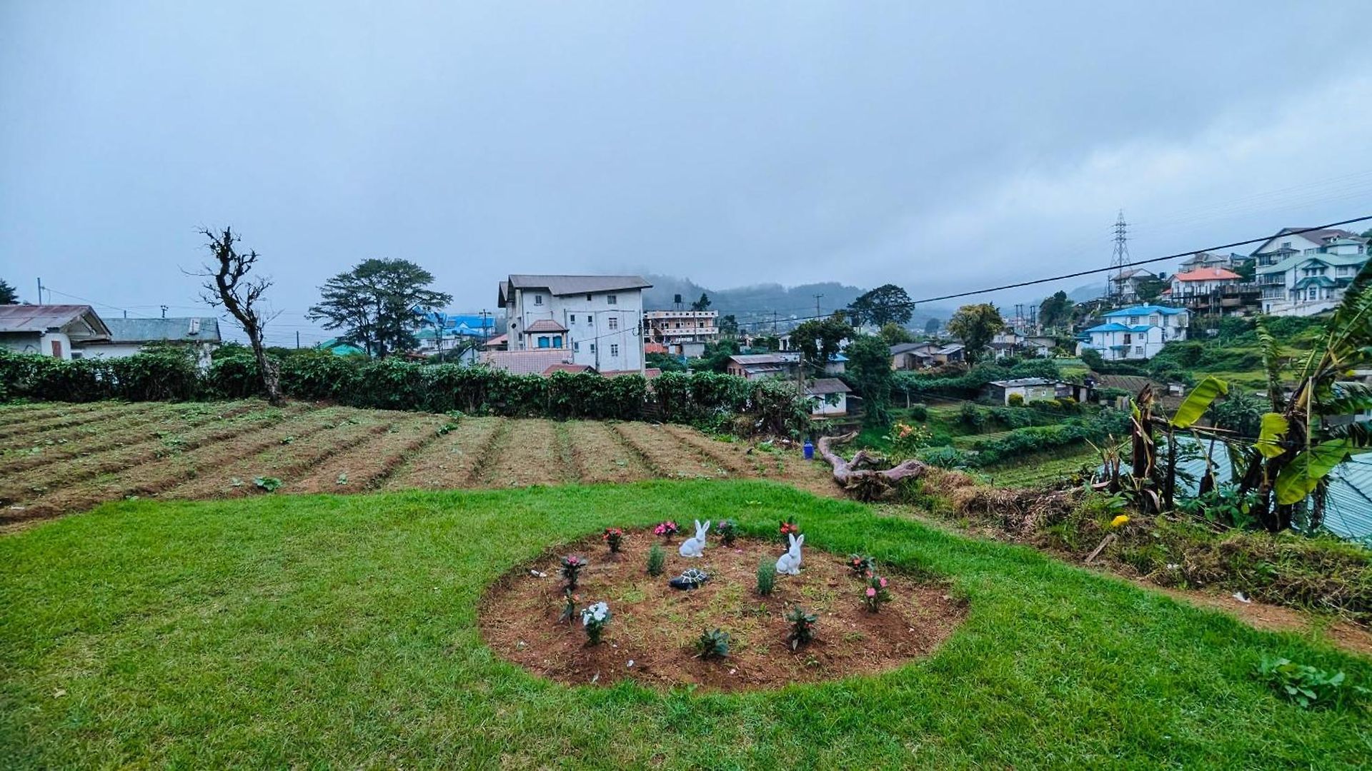 Hillside Bed & Breakfast *