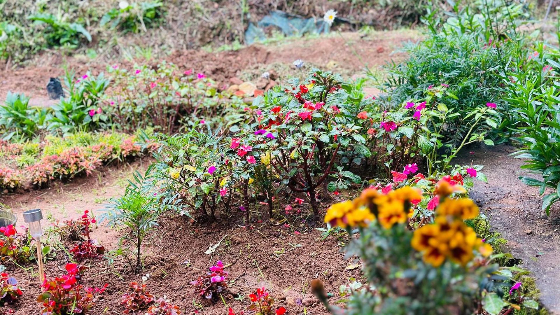 Lakeside By Clover Villa Nuwara Eliya