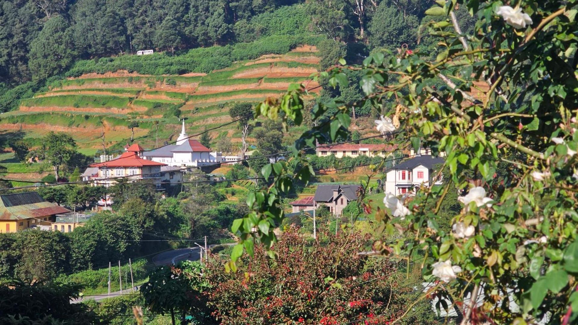 Haven Backpackers * Nuwara Eliya