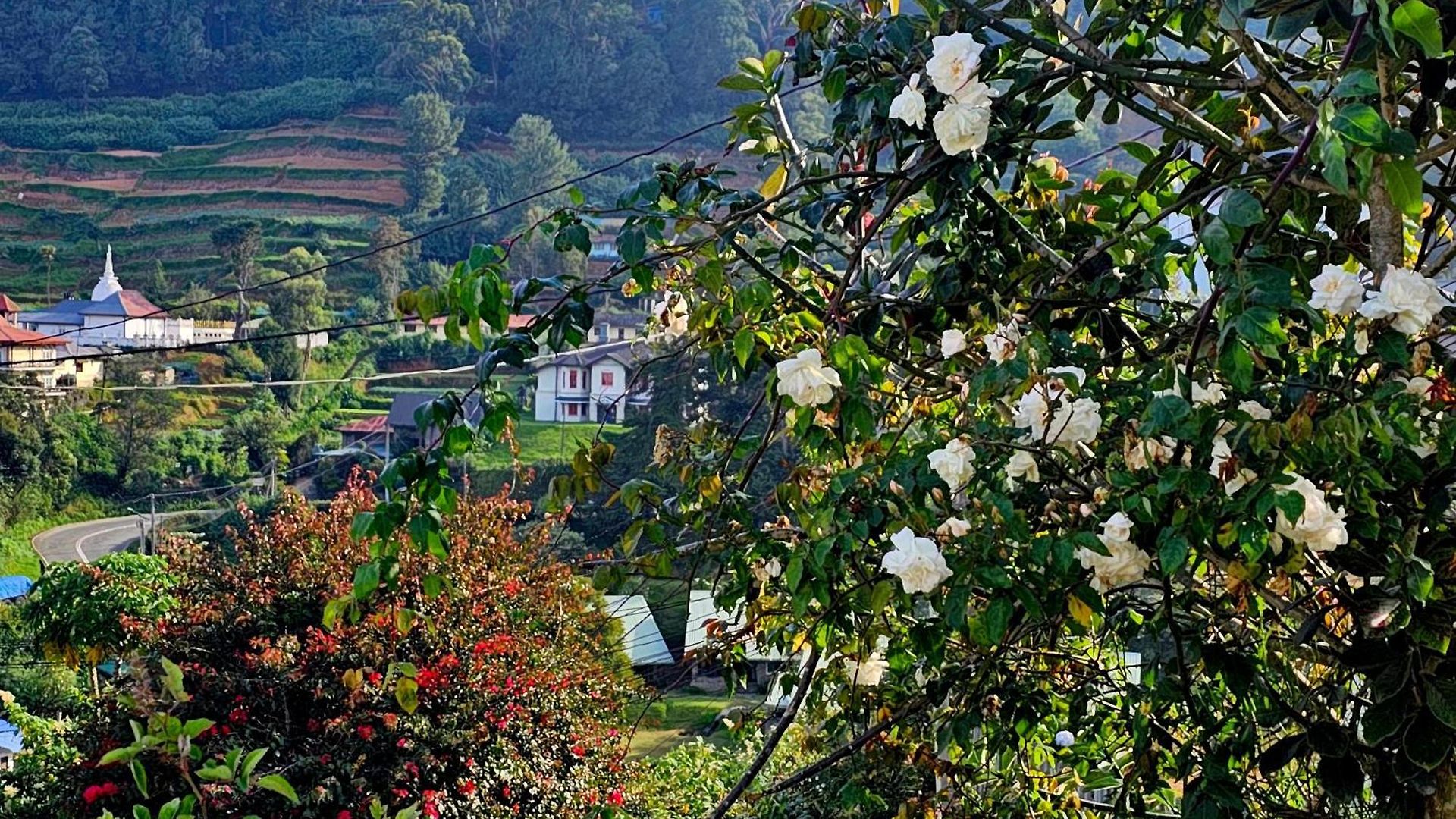 Haven Backpackers Hostel Nuwara Eliya