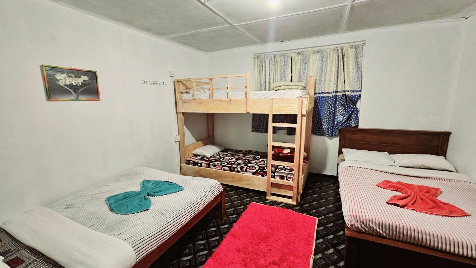 Haven Backpackers * Nuwara Eliya