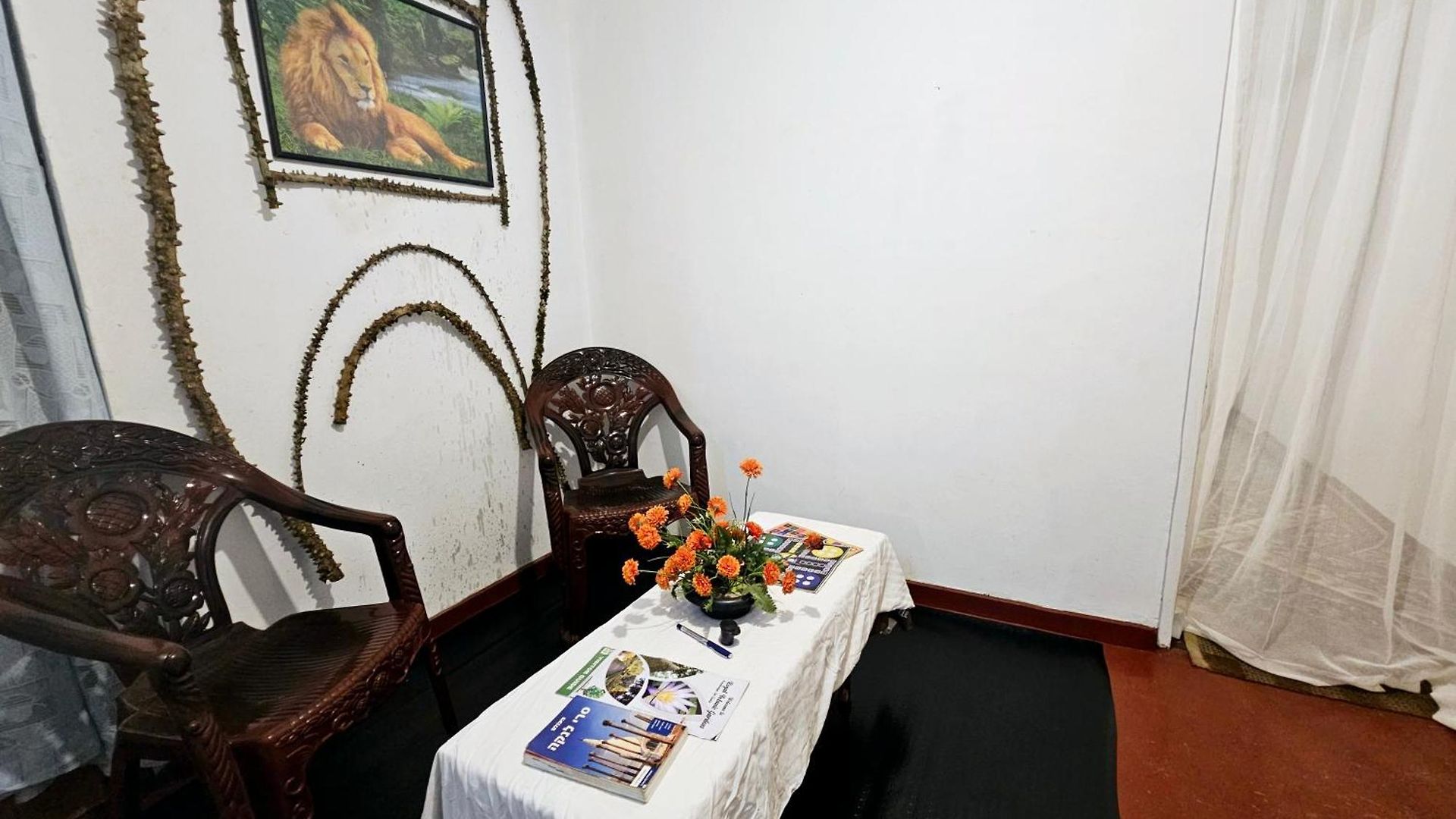 Hostel Haven Backpackers