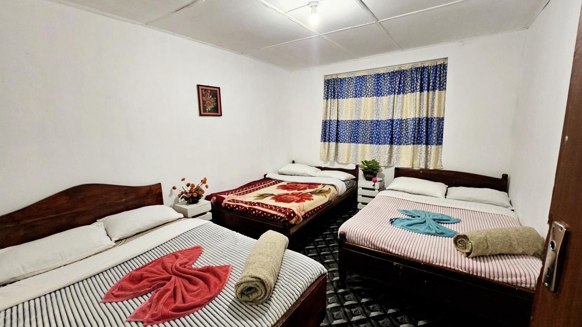 Hostel Haven Backpackers *