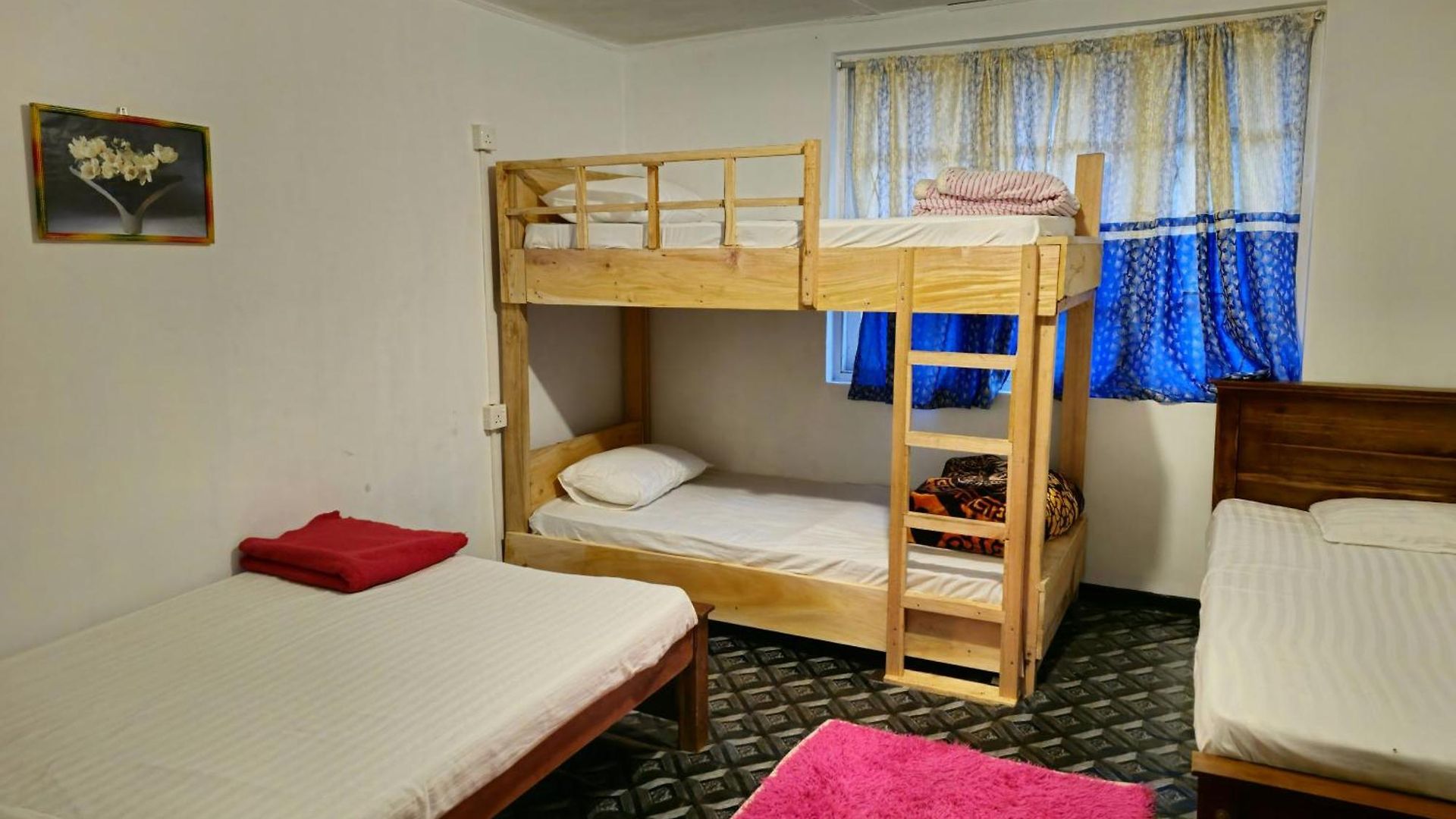 Haven Backpackers Hostel *