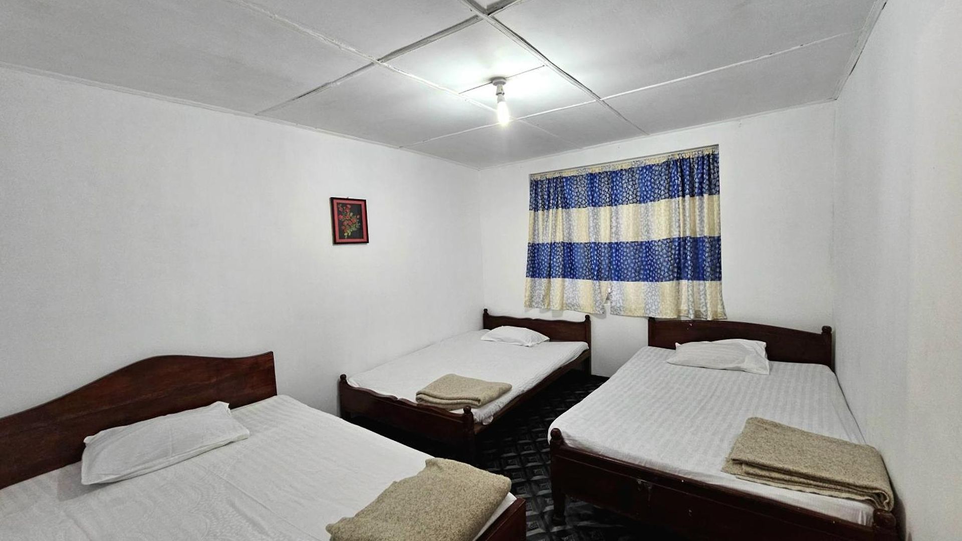 Haven Backpackers
