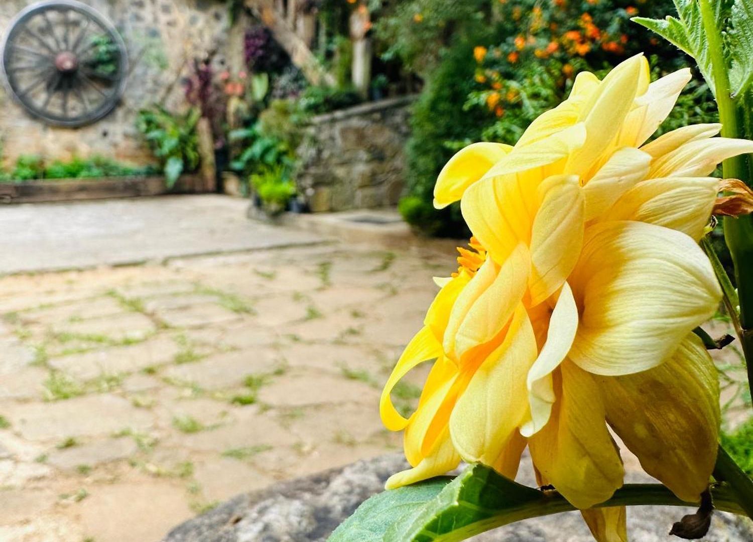 47 Nuwaraeliya Nuwara Eliya
